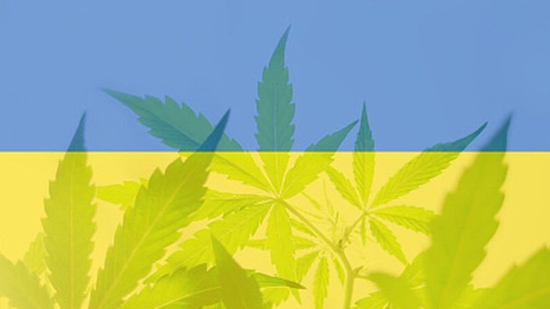 Legalizacja medycznej marihuany na ukrainie