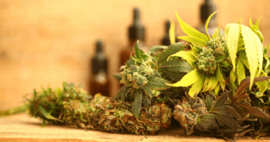 Jak dostać receptę na medyczną marihuanę?